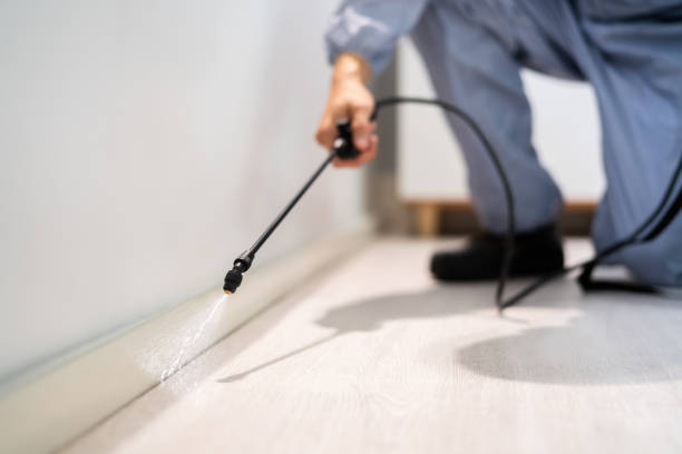 Licensed Ant Control service in Columbus Junction, IA - Nex Pest Control
