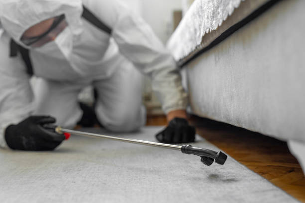 Professional Ant Control technician working in Columbus Junction, IA