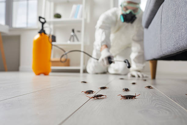 Trusted Cockroach Control service in Columbus Junction, IA - Nex Pest Control